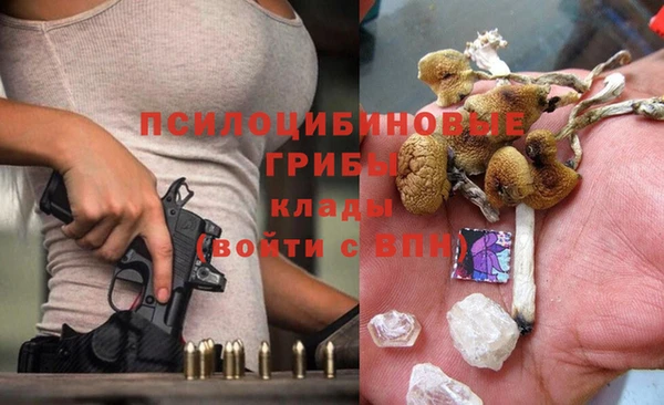 apvp Осташков