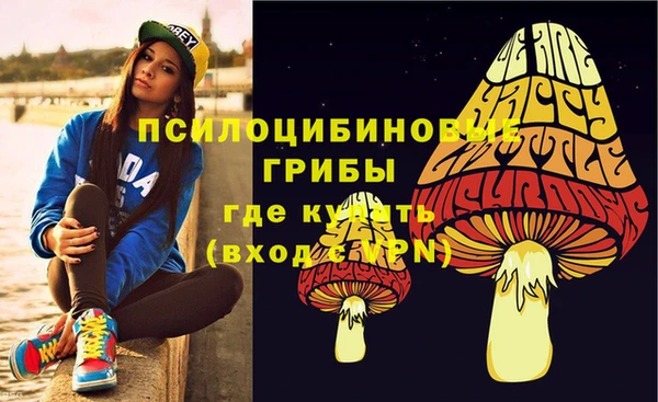 apvp Осташков