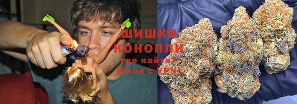 apvp Осташков