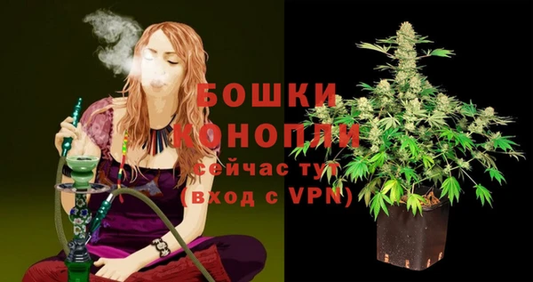 apvp Осташков