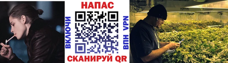 Бошки марихуана марихуана  KRAKEN как зайти  Сорск  купить наркотик 
